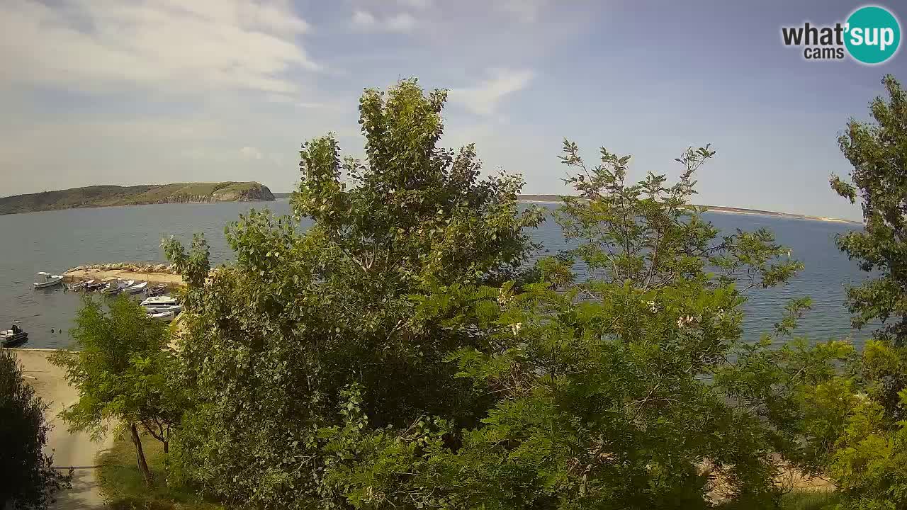 Kamp Odmoree spletna kamera Ražanac – Dalmacija