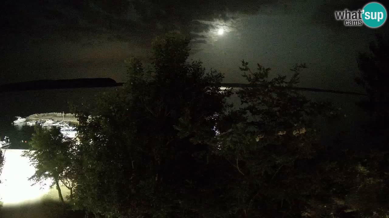 Kamp Odmoree spletna kamera Ražanac – Dalmacija