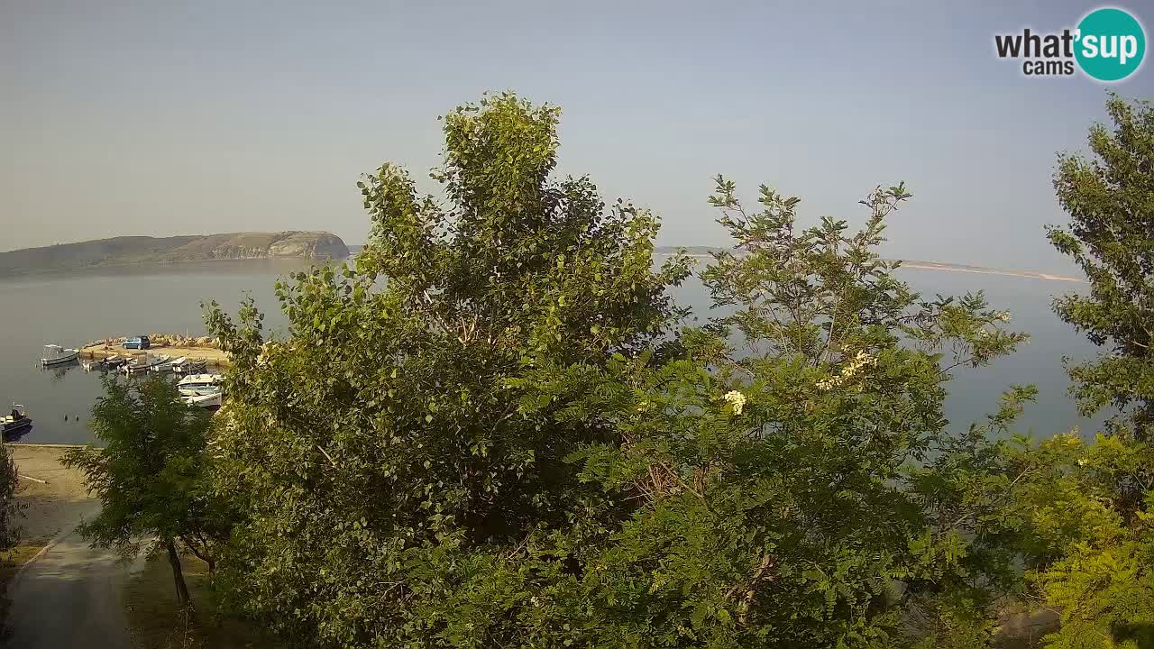 Camping Odmoree webcam Ražanac – Dalmatia