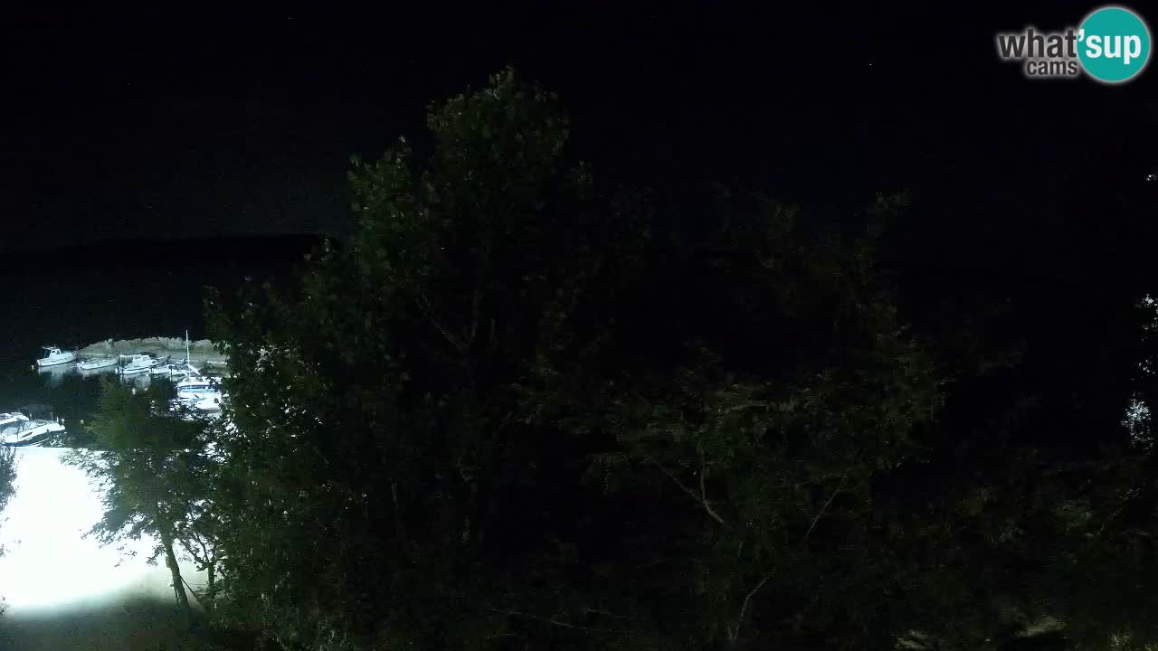 Kamp Odmoree spletna kamera Ražanac – Dalmacija