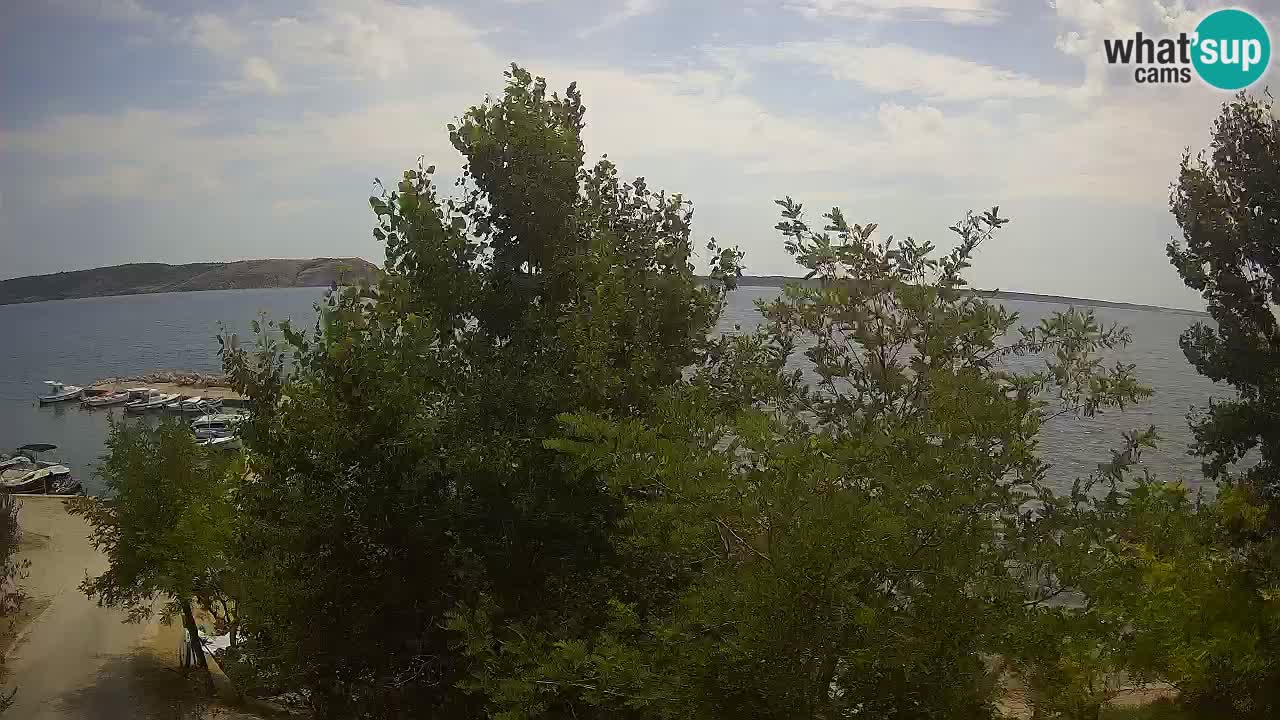 Camping Odmoree camera en vivo Ražanac – Dalmacia