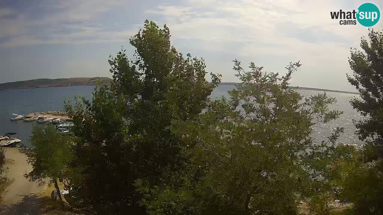 Camping Odmoree camera en vivo Ražanac – Dalmacia