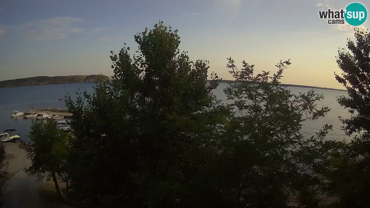 Kamp Odmoree spletna kamera Ražanac – Dalmacija