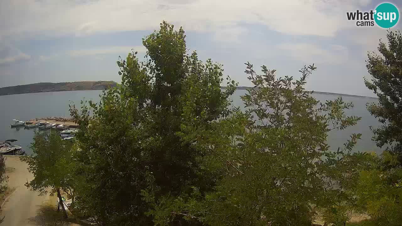 Camping Odmoree live cam Ražanac – Dalmatie