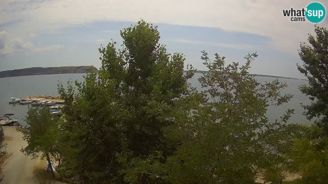 Camping Odmoree camera en vivo Ražanac – Dalmacia