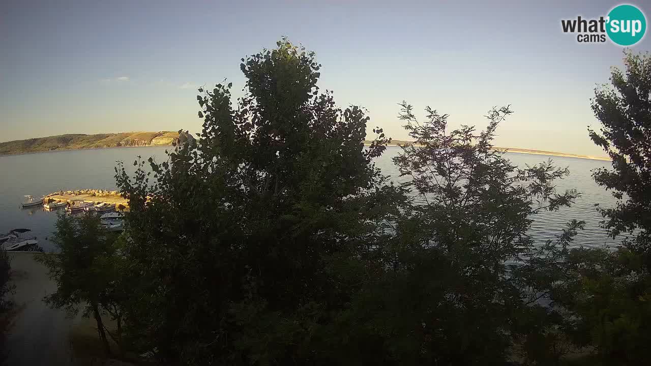 Kamp Odmoree spletna kamera Ražanac – Dalmacija