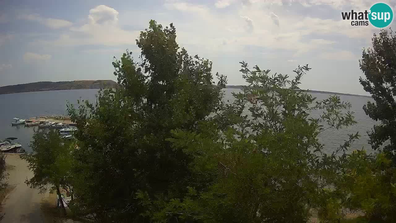 Kamp Odmoree spletna kamera Ražanac – Dalmacija