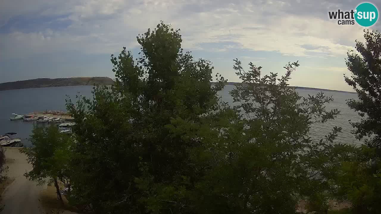 Camping Odmoree webcam Ražanac – Dalmazia
