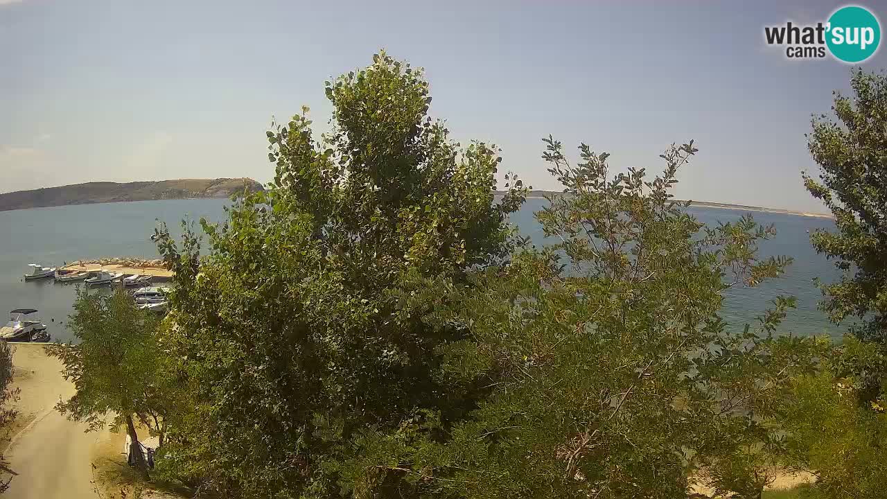 Camping Odmoree web kamera Ražanac – Dalmacija