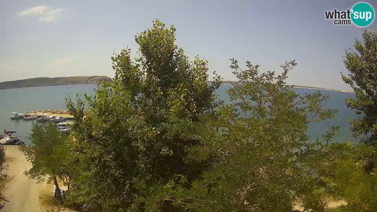 Camping Odmoree camera en vivo Ražanac – Dalmacia