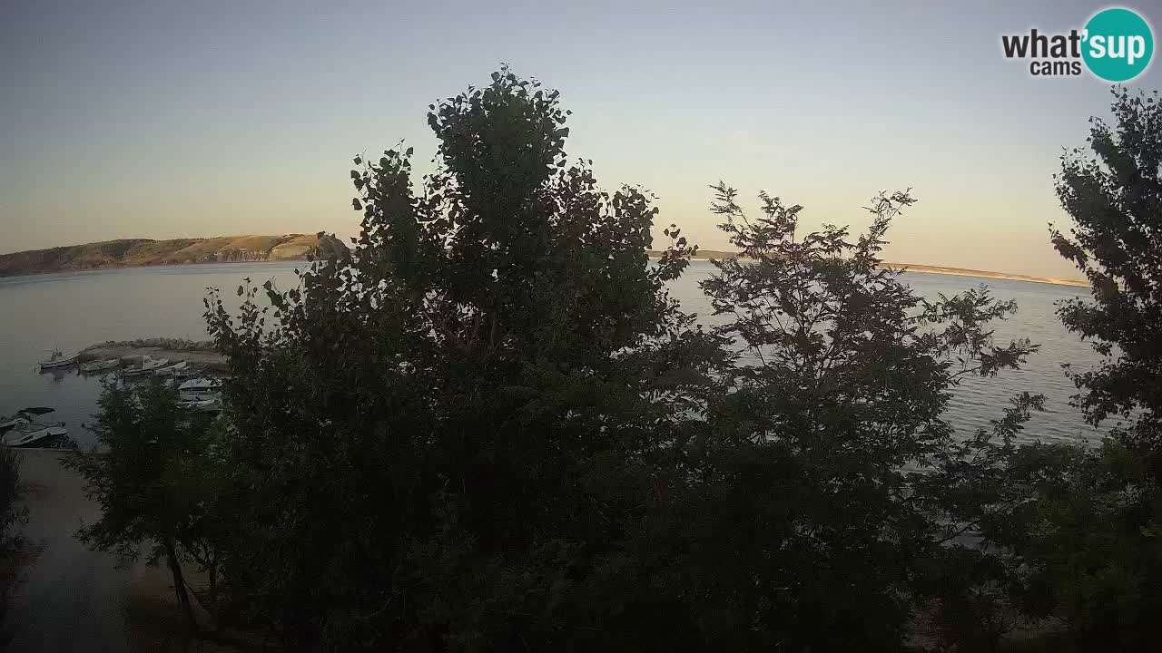 Kamp Odmoree spletna kamera Ražanac – Dalmacija