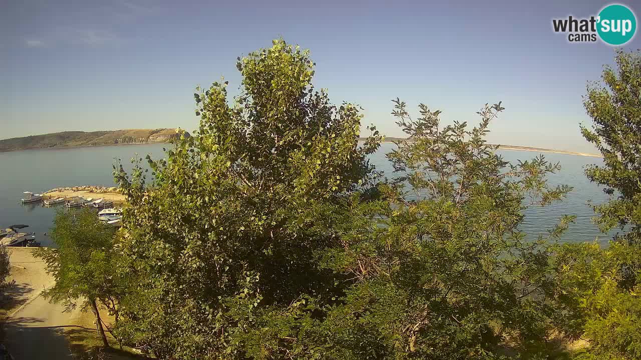 Camping Odmoree camera en vivo Ražanac – Dalmacia
