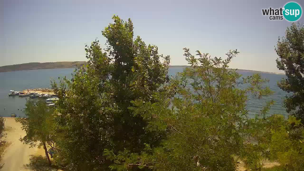 Kamp Odmoree spletna kamera Ražanac – Dalmacija