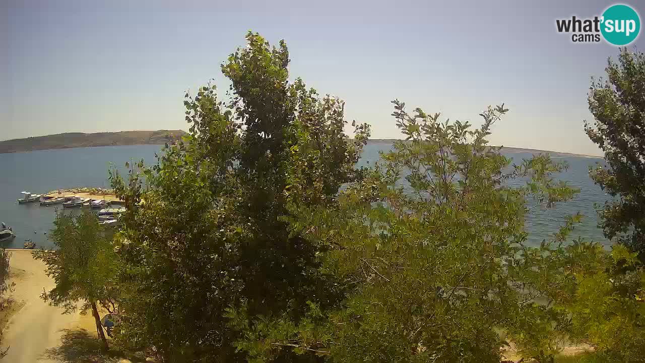 Camping Odmoree live cam Ražanac – Dalmatie