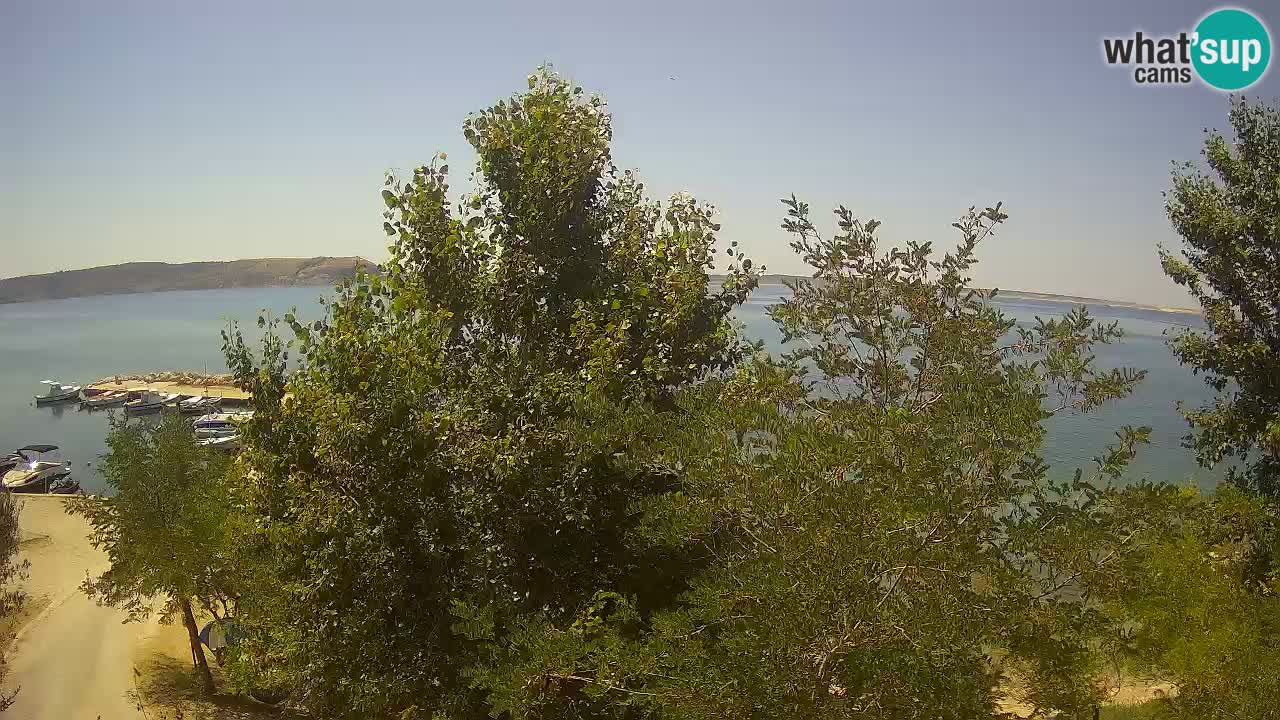 Kamp Odmoree spletna kamera Ražanac – Dalmacija