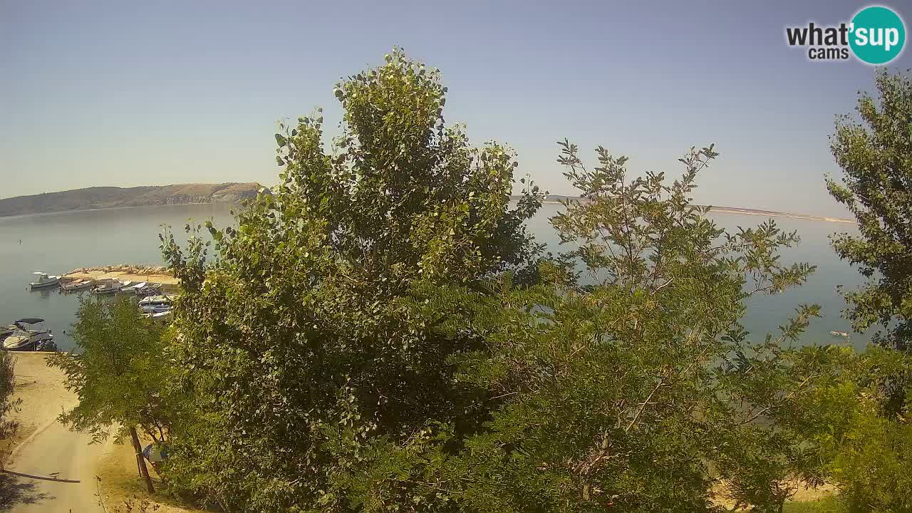 Kamp Odmoree spletna kamera Ražanac – Dalmacija
