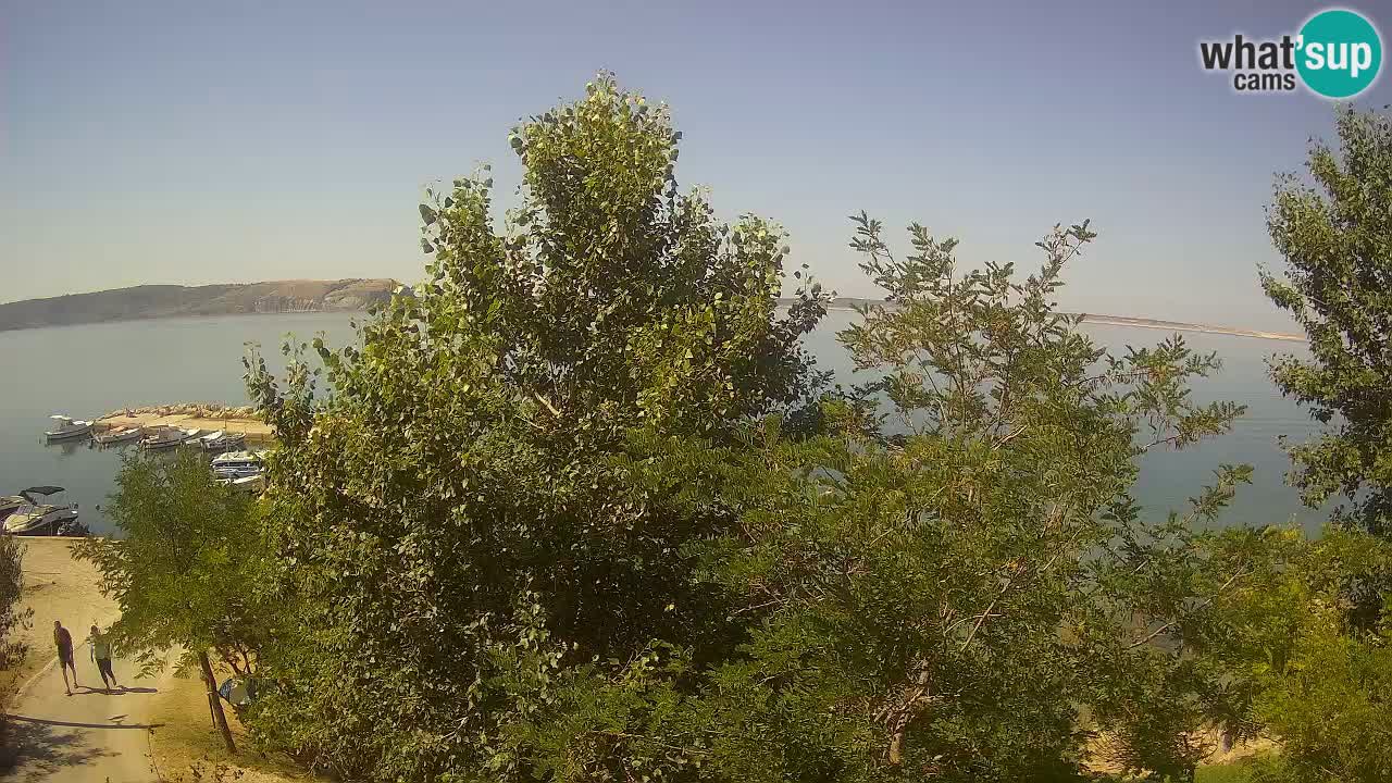Camping Odmoree camera en vivo Ražanac – Dalmacia
