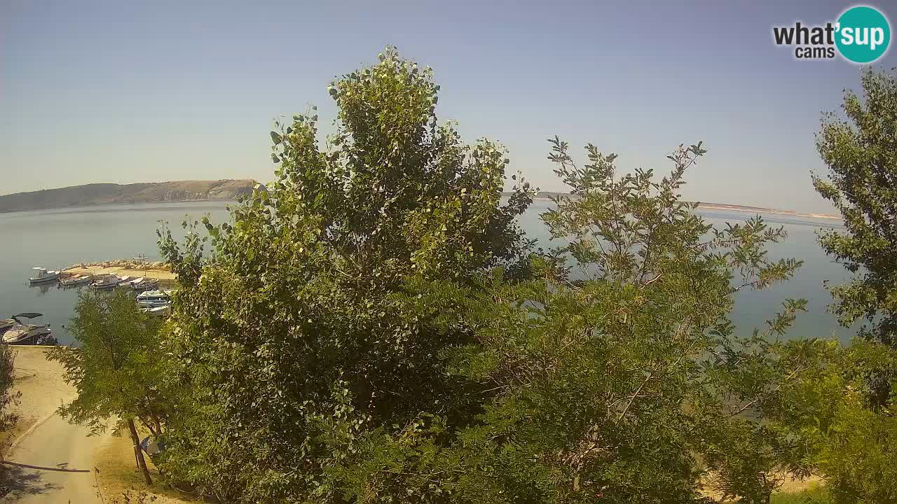 Camping Odmoree webcam Ražanac – Dalmatia