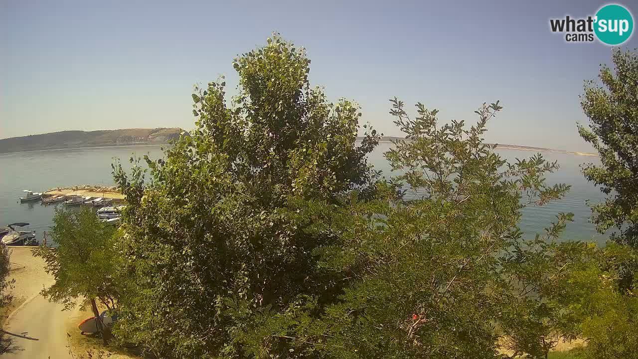 Camping Odmoree webcam Ražanac – Dalmazia