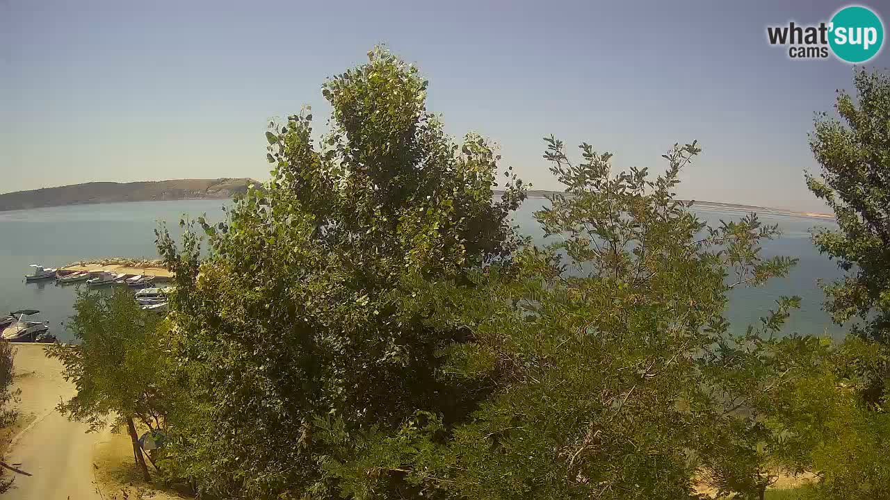 Camping Odmoree camera en vivo Ražanac – Dalmacia