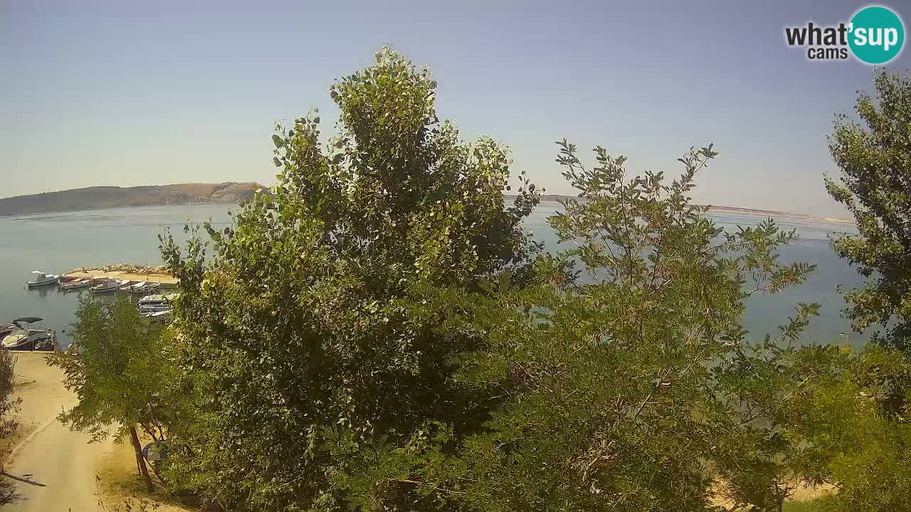 Camping Odmoree web kamera Ražanac – Dalmacija
