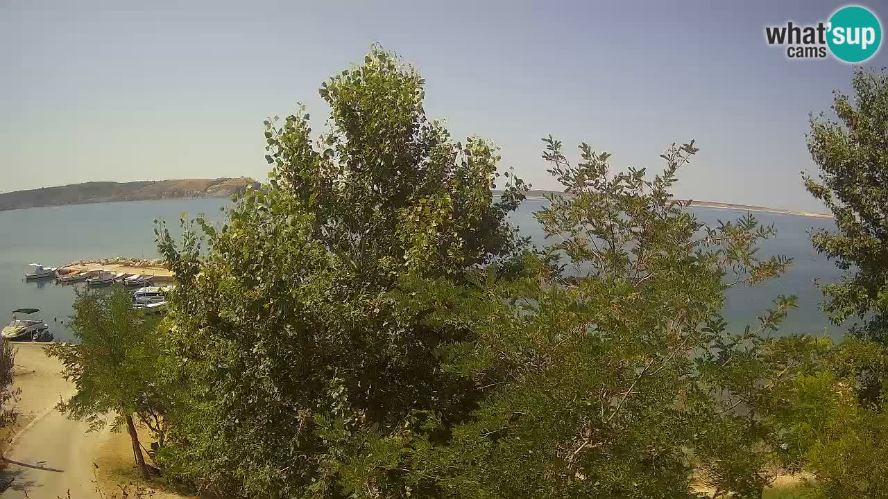 Kamp Odmoree spletna kamera Ražanac – Dalmacija