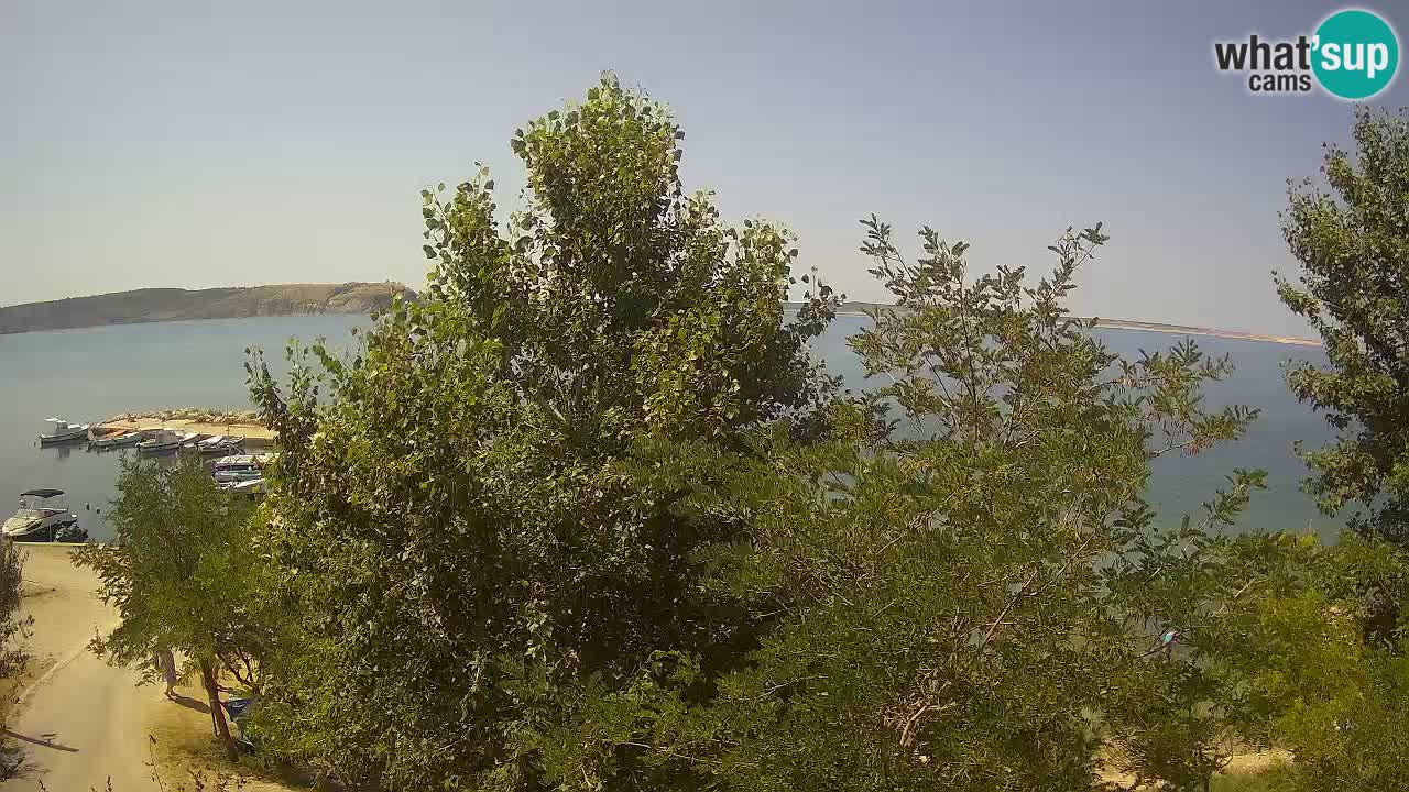 Kamp Odmoree spletna kamera Ražanac – Dalmacija