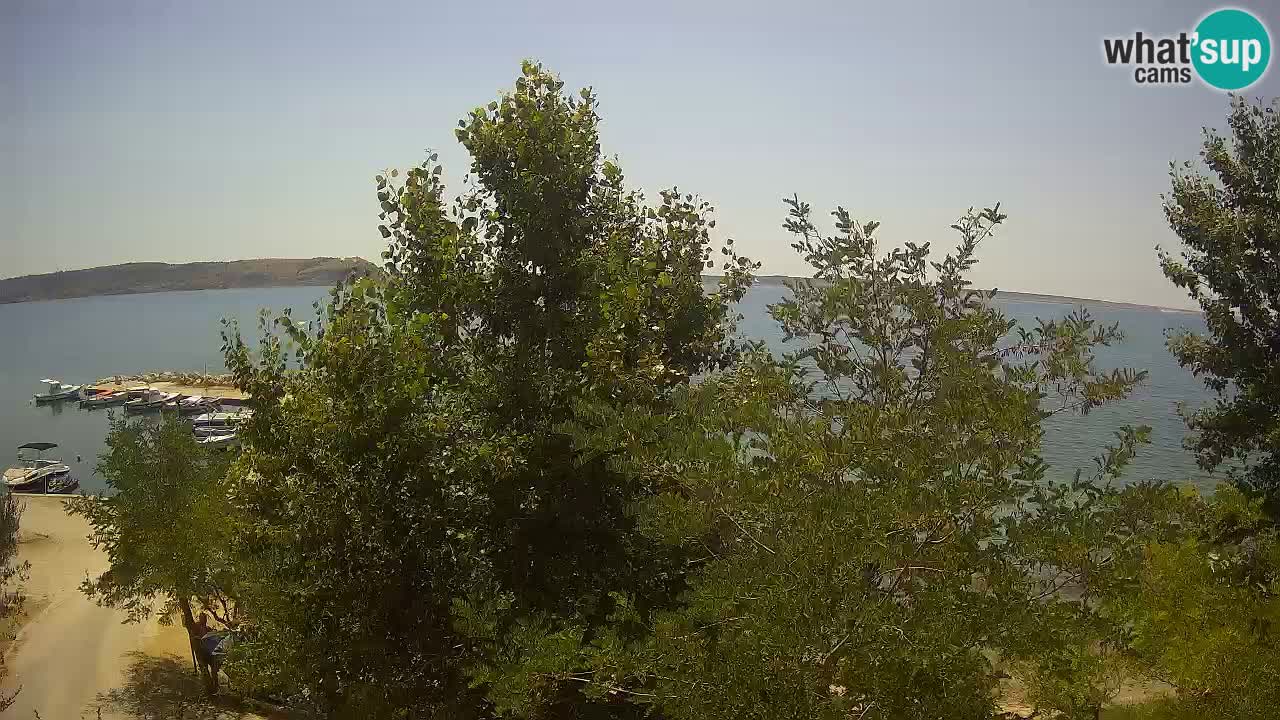 Kamp Odmoree spletna kamera Ražanac – Dalmacija