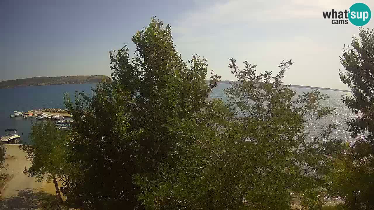 Kamp Odmoree spletna kamera Ražanac – Dalmacija