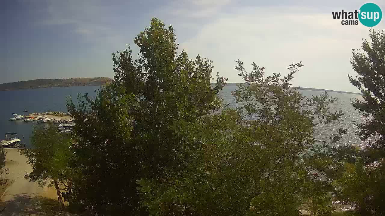 Camping Odmoree web kamera Ražanac – Dalmacija