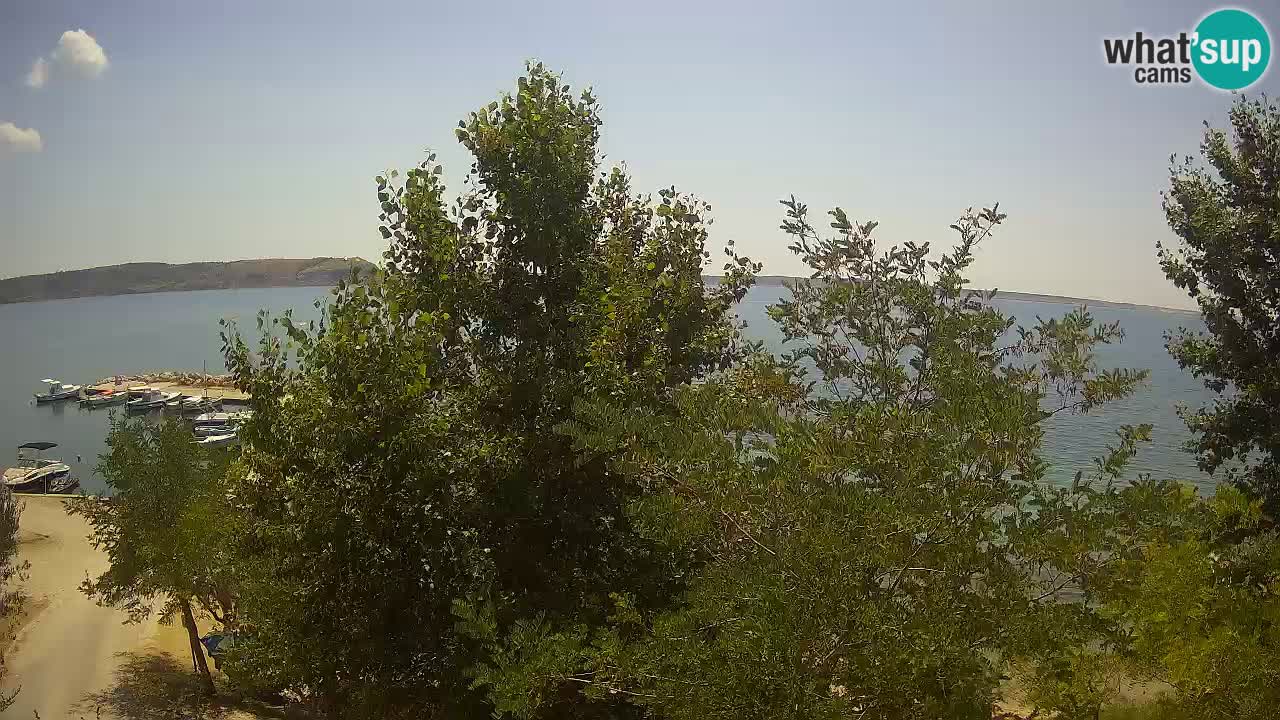 Camping Odmoree camera en vivo Ražanac – Dalmacia