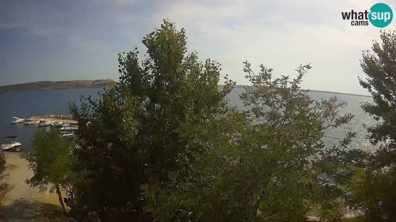 Camping Odmoree camera en vivo Ražanac – Dalmacia