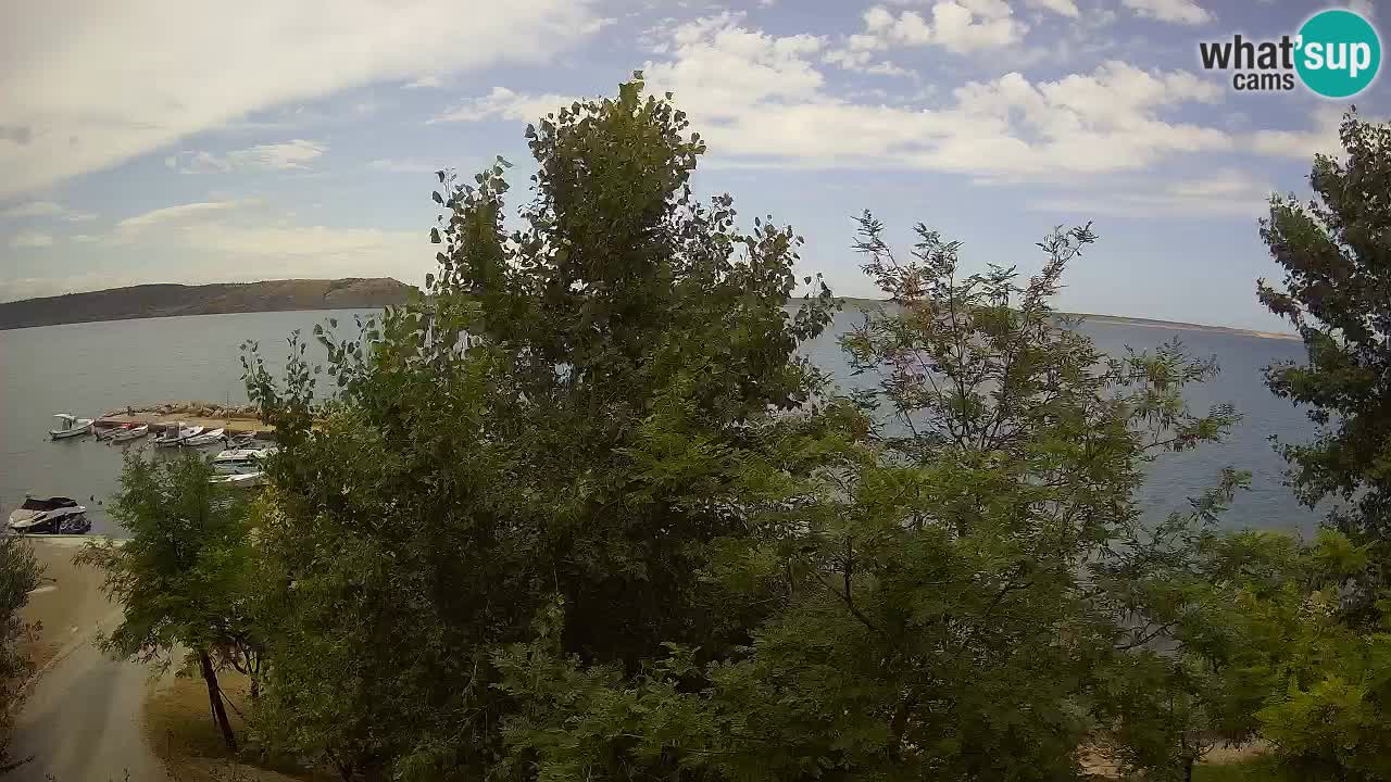 Camping Odmoree web kamera Ražanac – Dalmacija