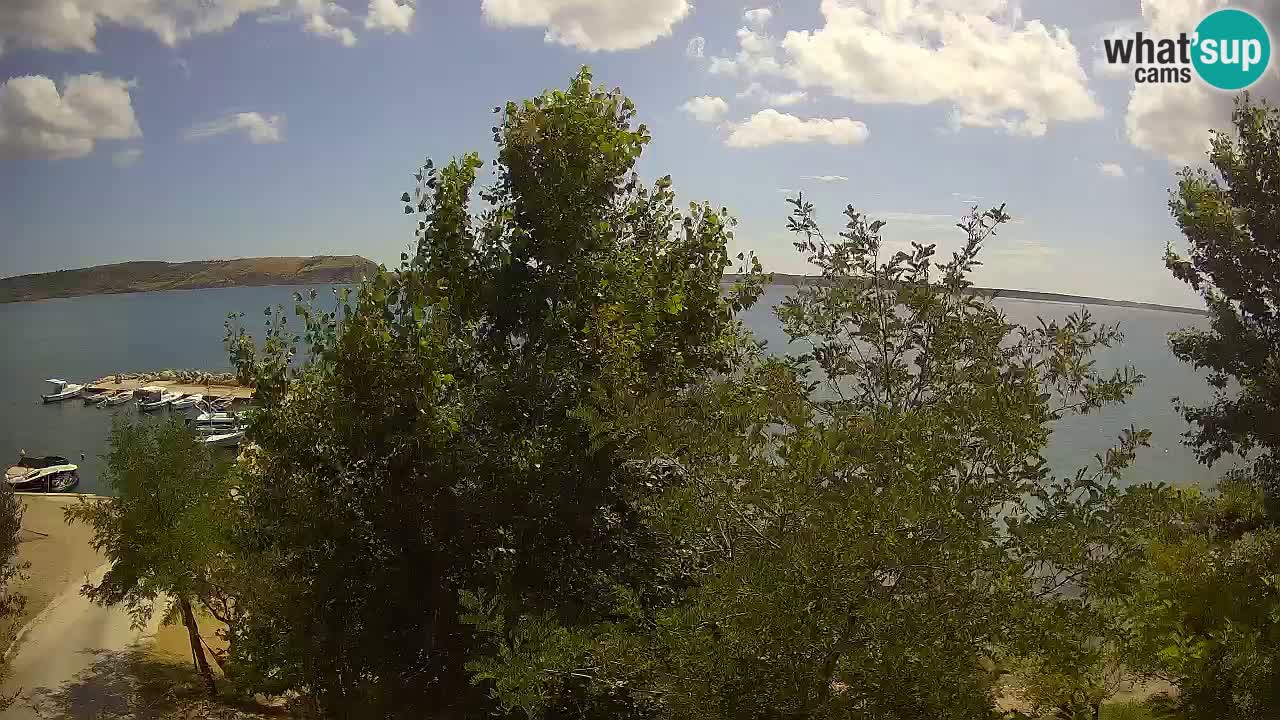 Camping Odmoree camera en vivo Ražanac – Dalmacia