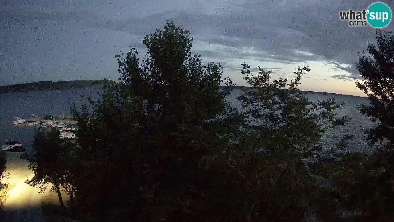 Kamp Odmoree spletna kamera Ražanac – Dalmacija