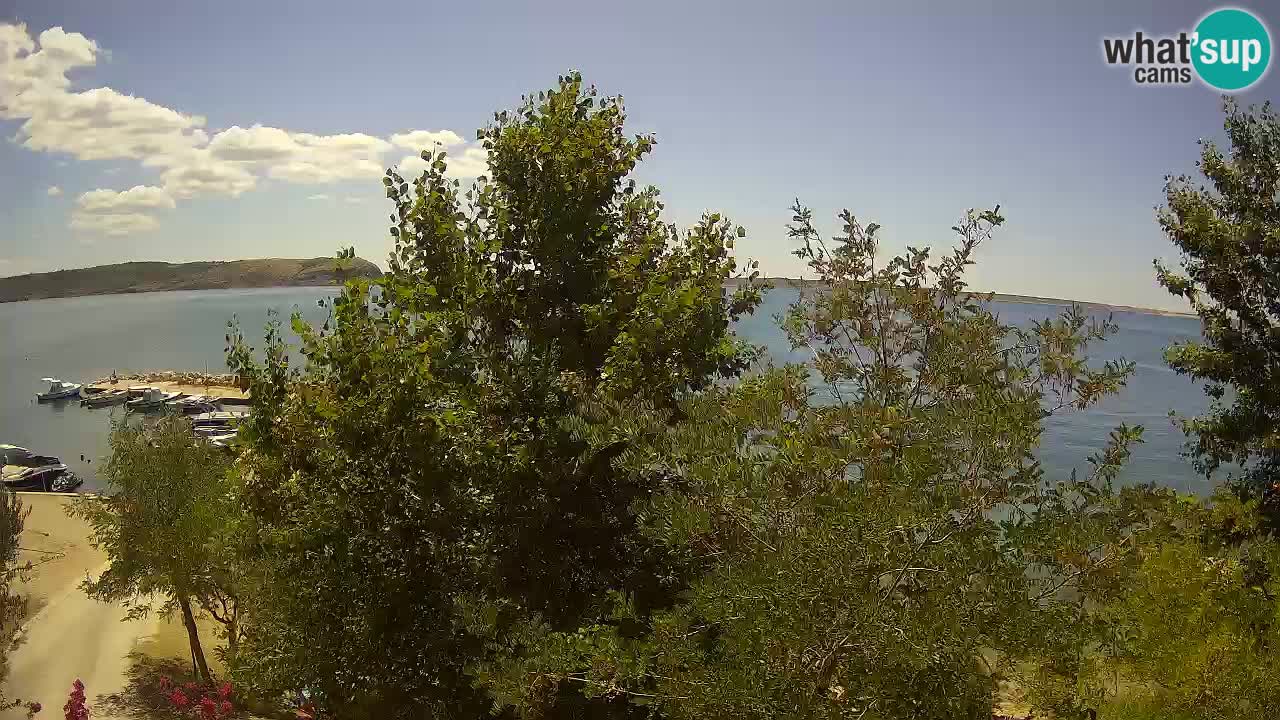 Camping Odmoree camera en vivo Ražanac – Dalmacia