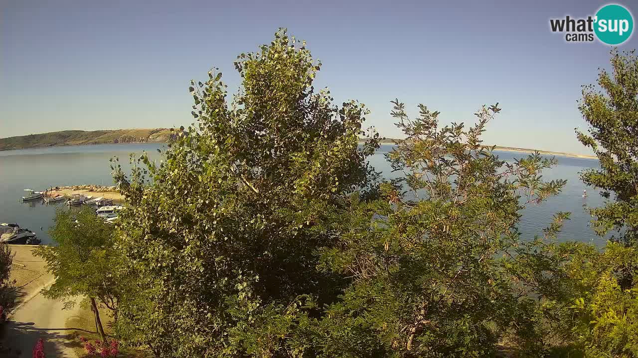 Camping Odmoree live cam Ražanac – Dalmatie