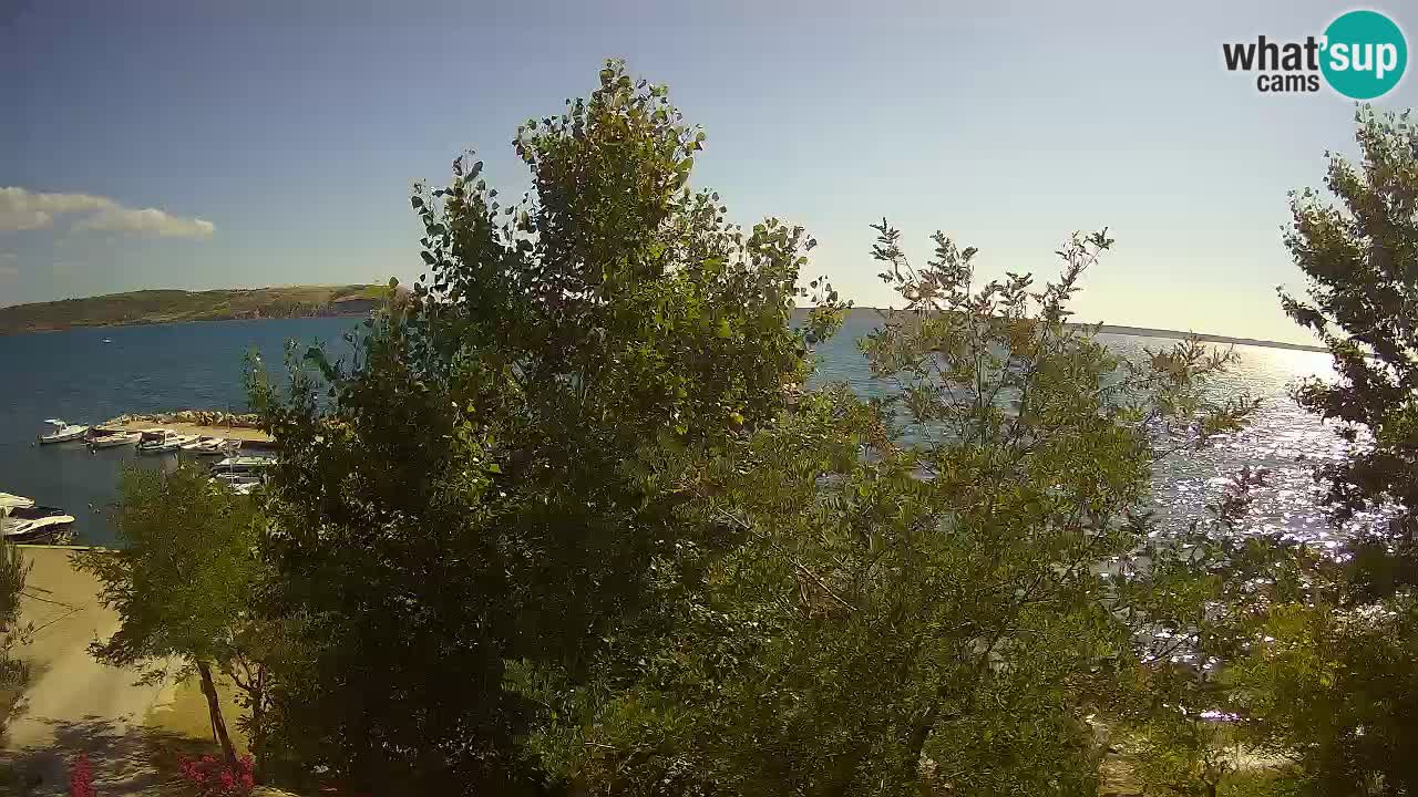 Kamp Odmoree spletna kamera Ražanac – Dalmacija
