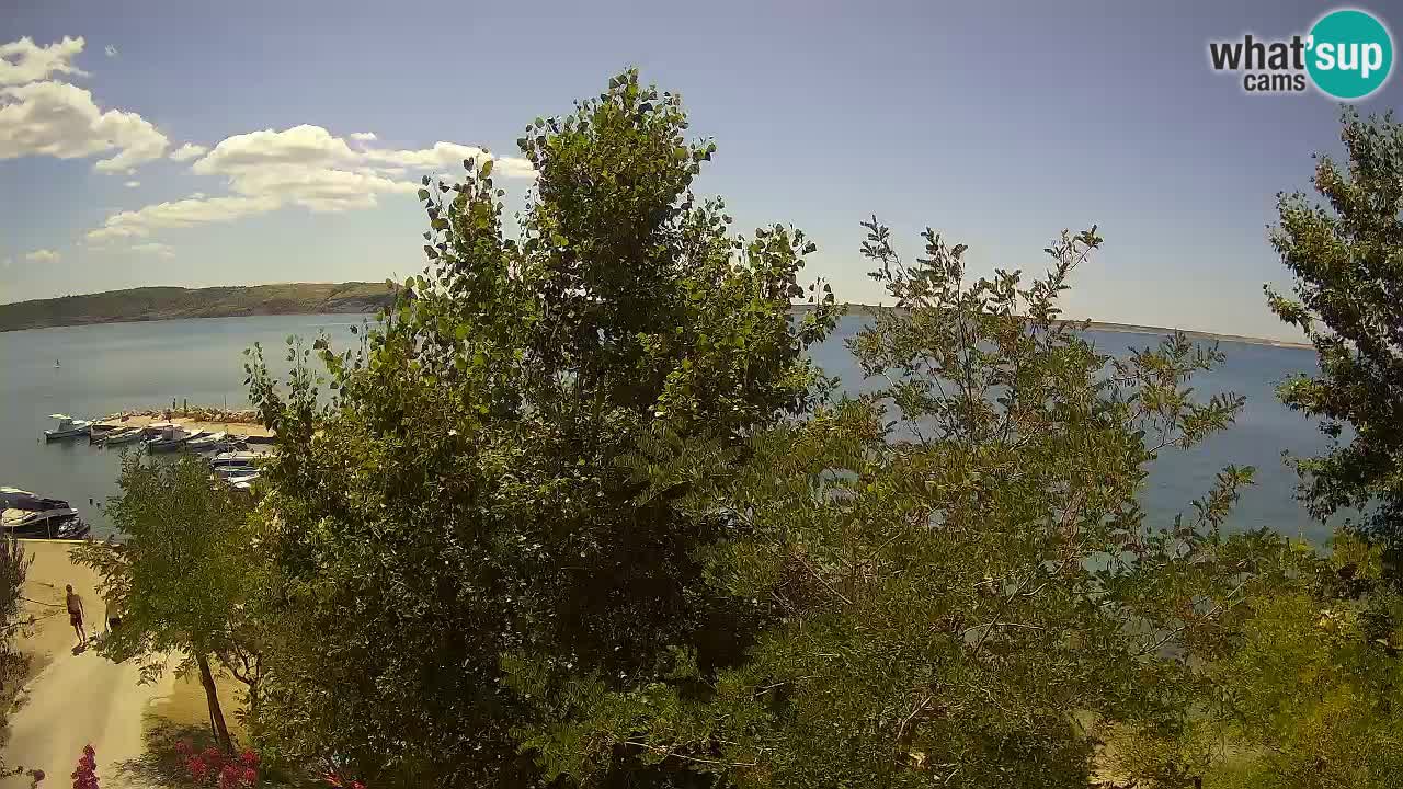 Camping Odmoree web kamera Ražanac – Dalmacija