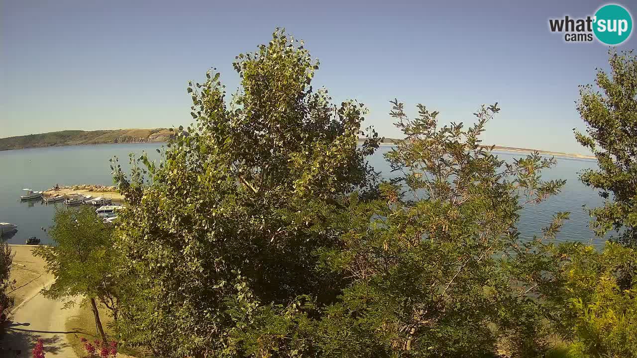 Camping Odmoree web kamera Ražanac – Dalmacija