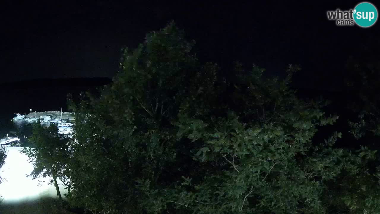 Camping Odmoree camera en vivo Ražanac – Dalmacia