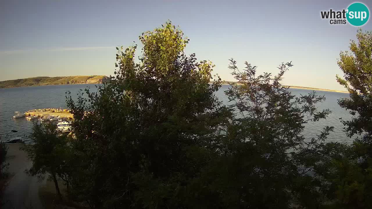 Camping Odmoree camera en vivo Ražanac – Dalmacia