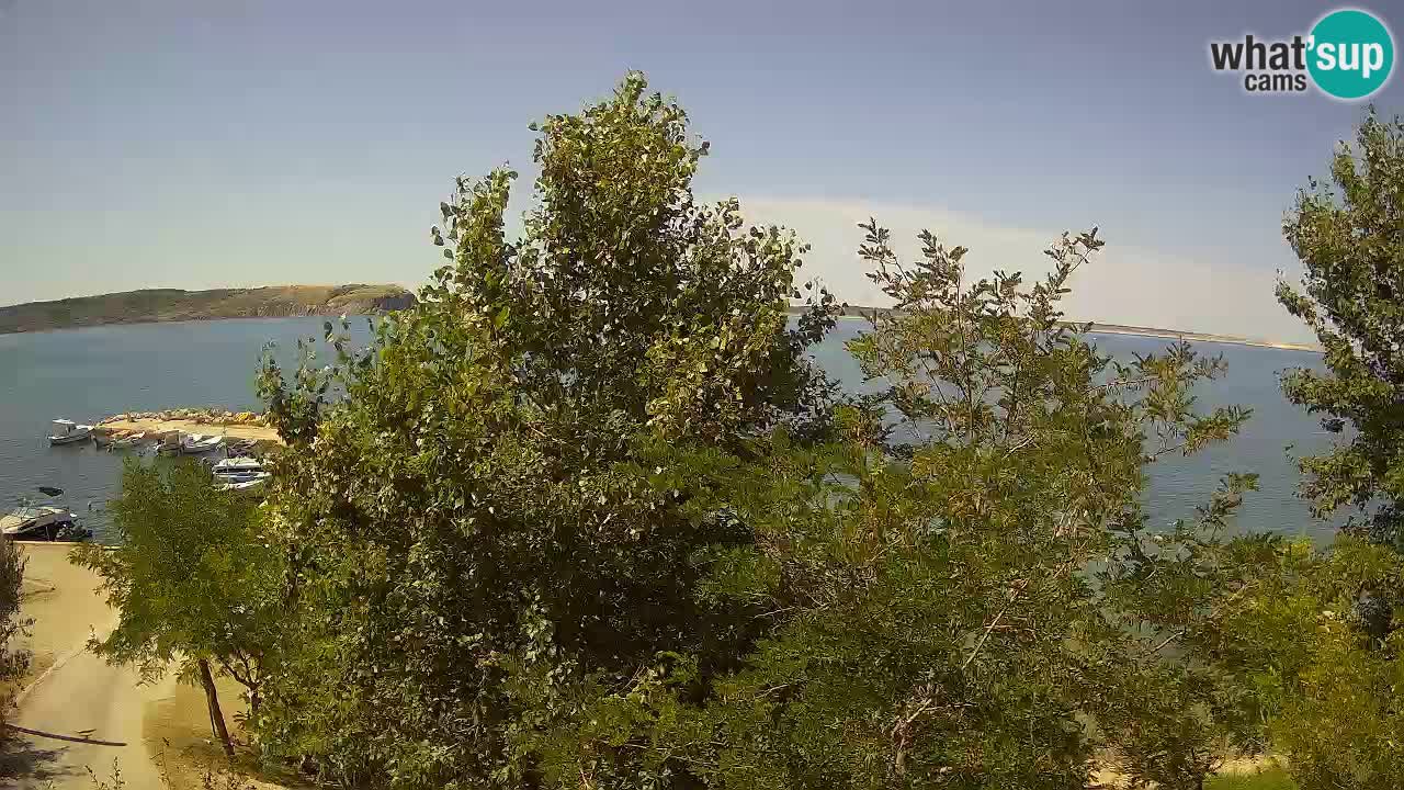 Camping Odmoree camera en vivo Ražanac – Dalmacia