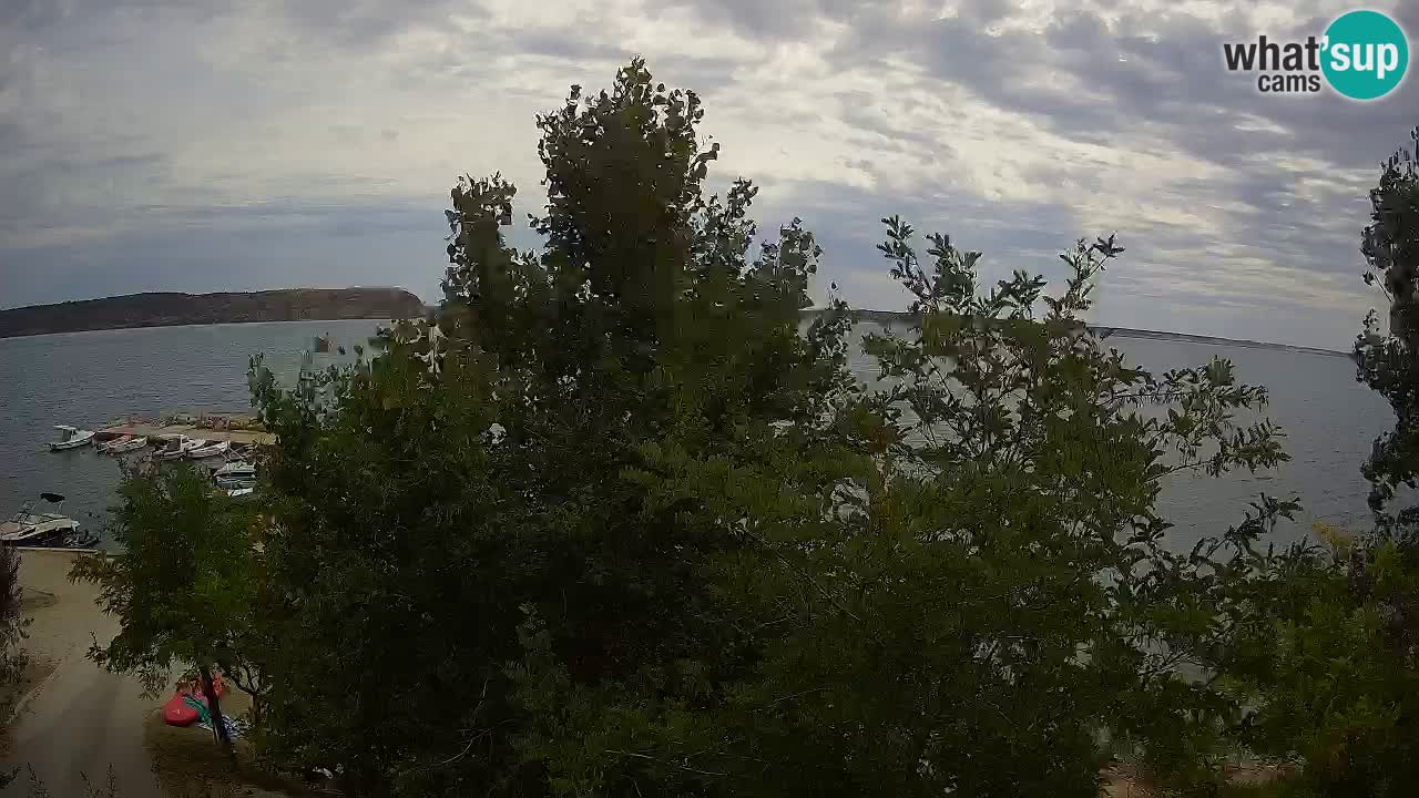 Kamp Odmoree spletna kamera Ražanac – Dalmacija