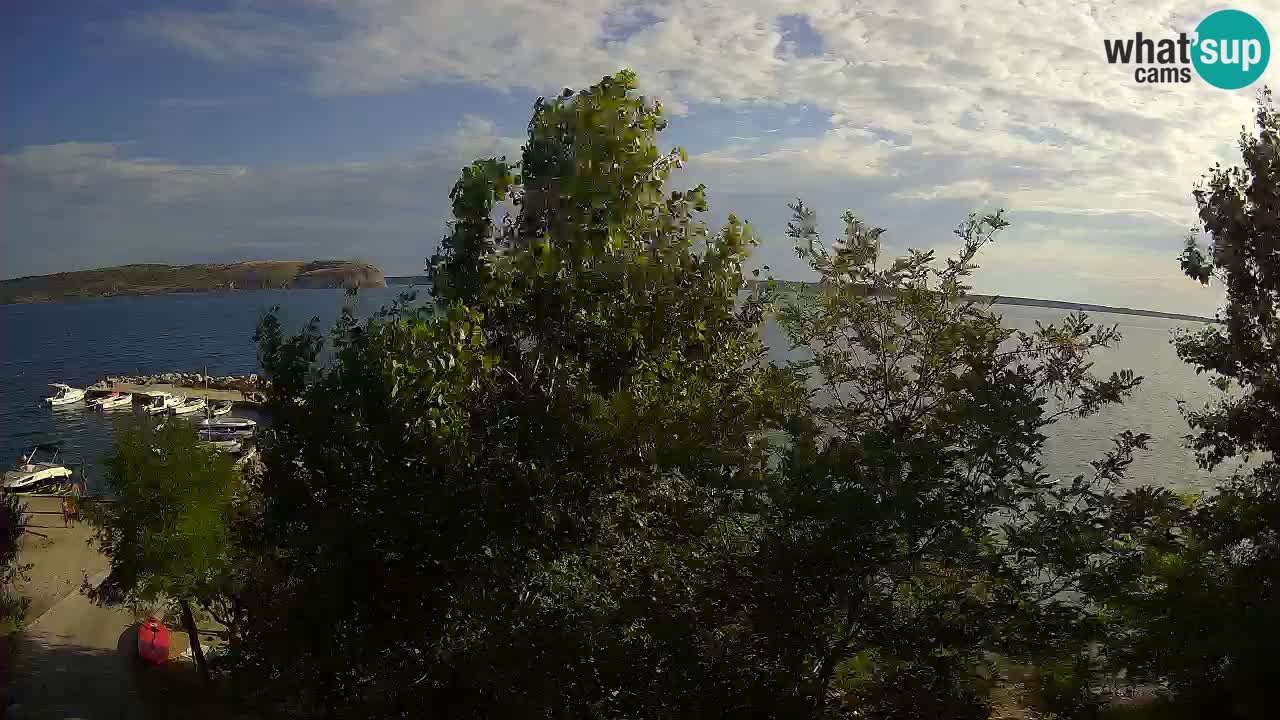 Camping Odmoree webcam Ražanac – Dalmatia