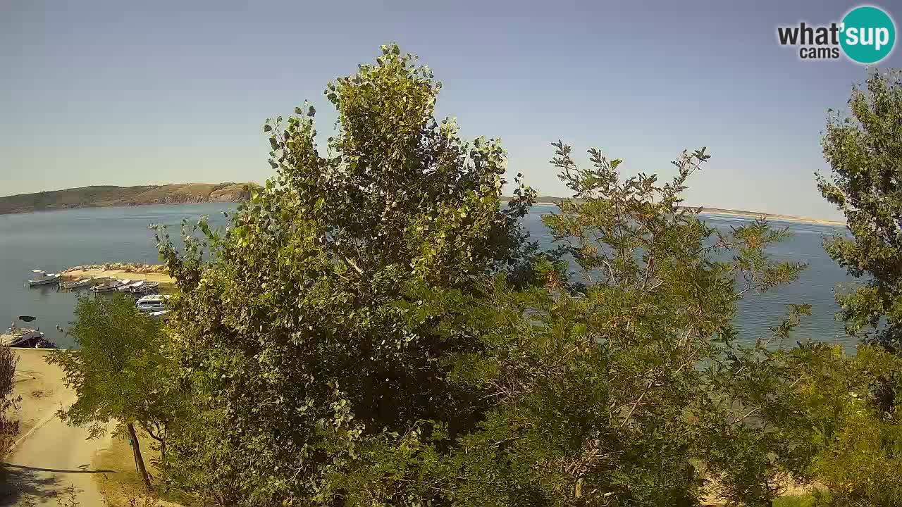 Camping Odmoree webcam Ražanac – Dalmazia