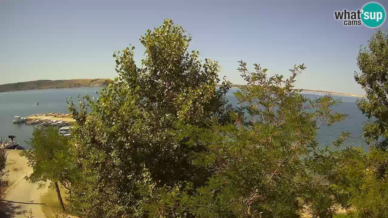 Camping Odmoree camera en vivo Ražanac – Dalmacia