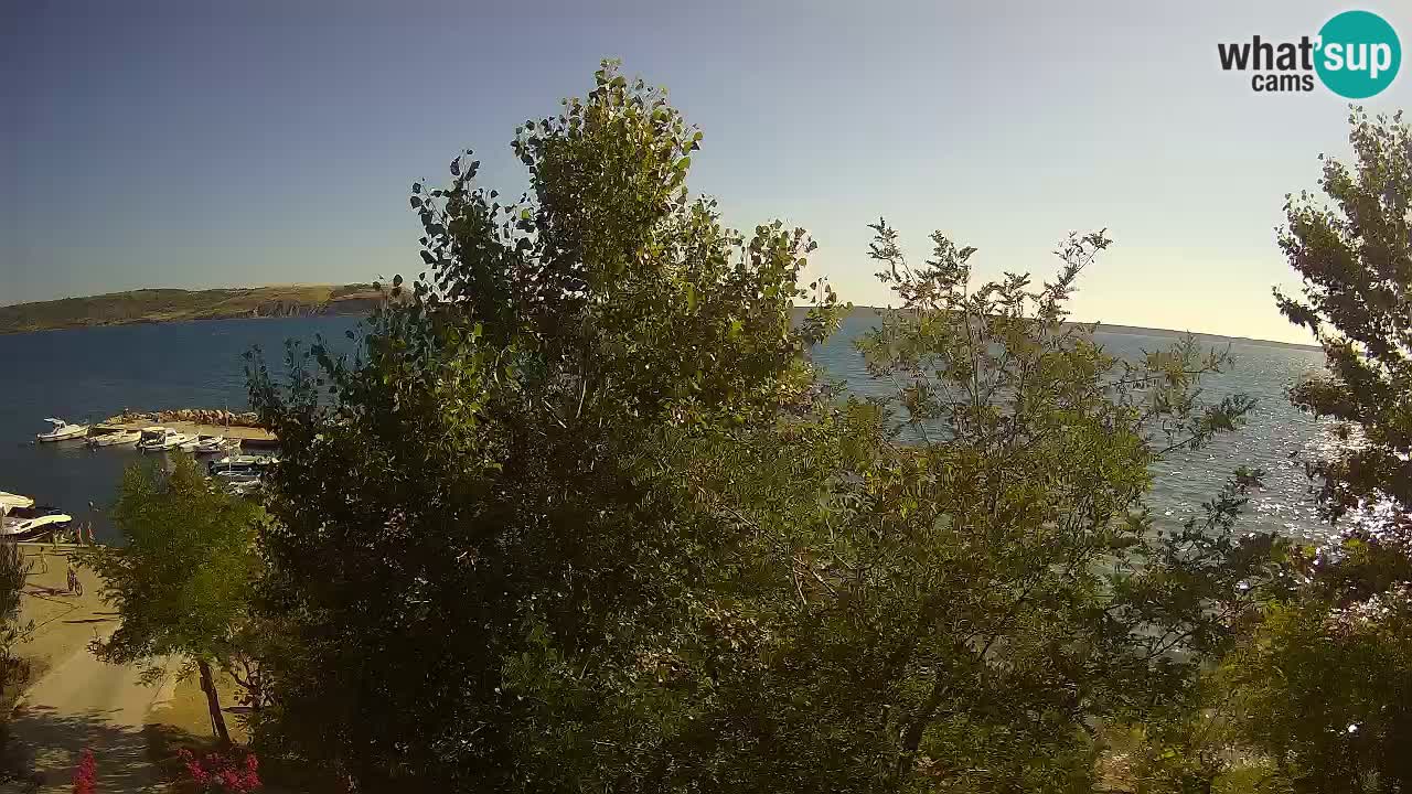 Camping Odmoree web kamera Ražanac – Dalmacija