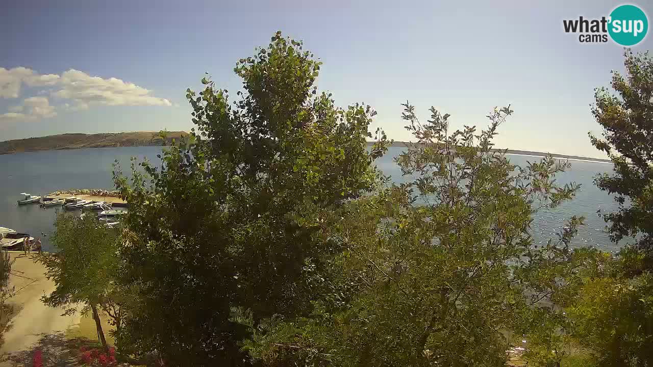 Camping Odmoree live cam Ražanac – Dalmatie