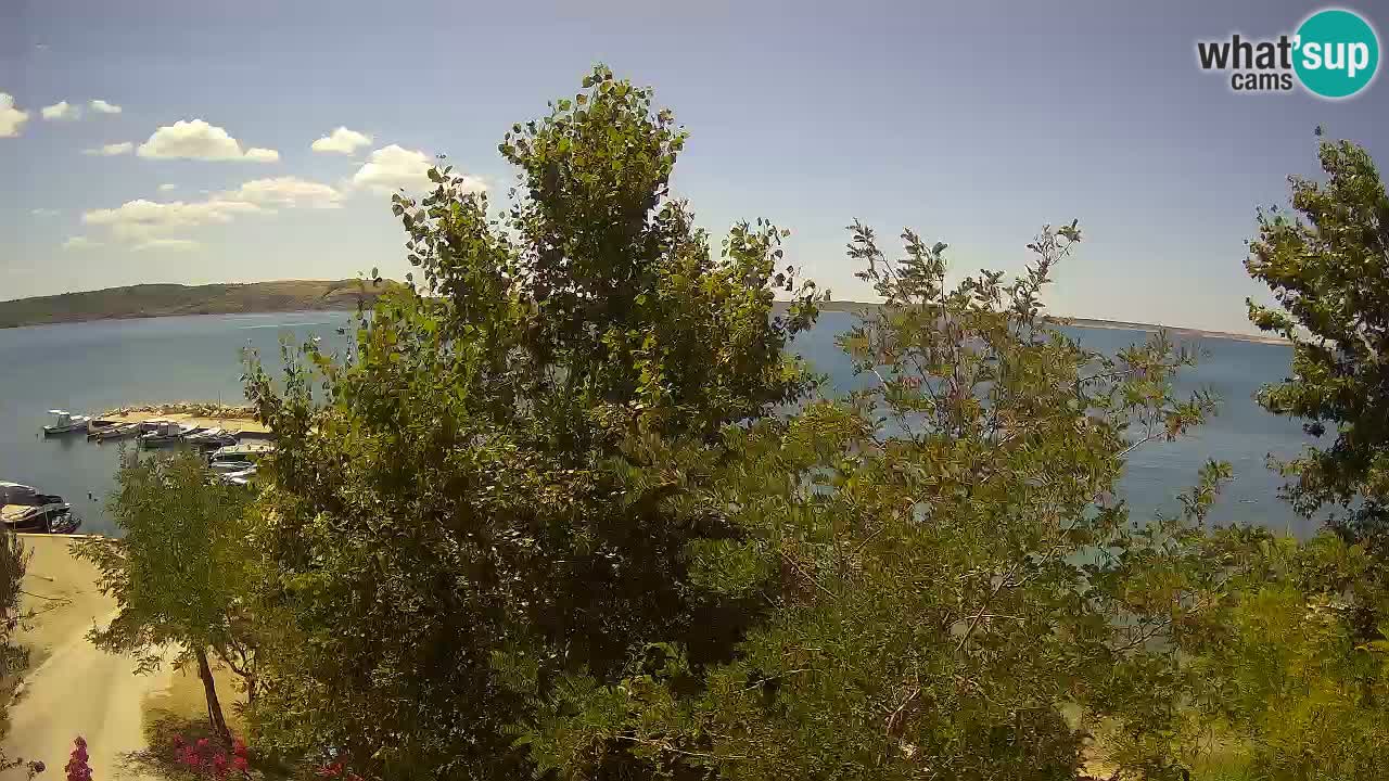 Camping Odmoree webcam Ražanac – Dalmazia